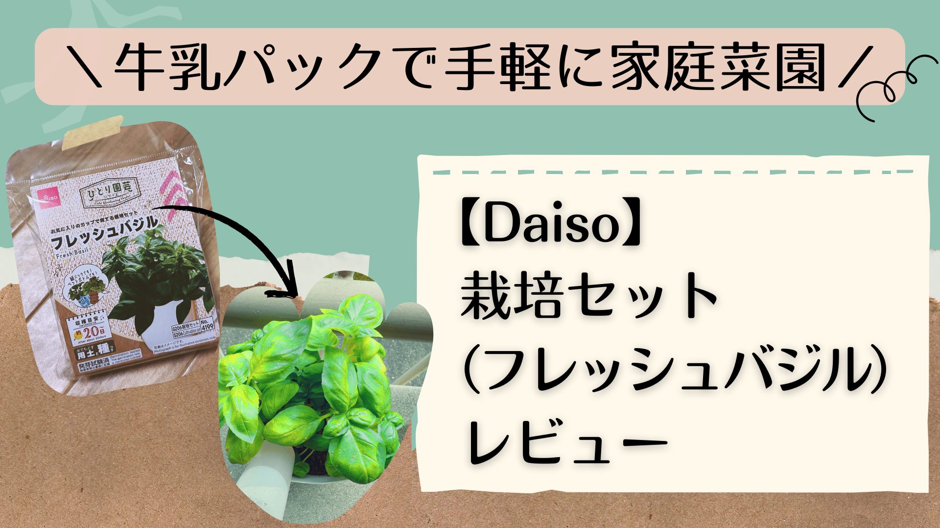 ＼牛乳パックで手軽に家庭菜園／【Daiso】栽培セット（フレッシュバジル）レビュー アイキャッチ画像