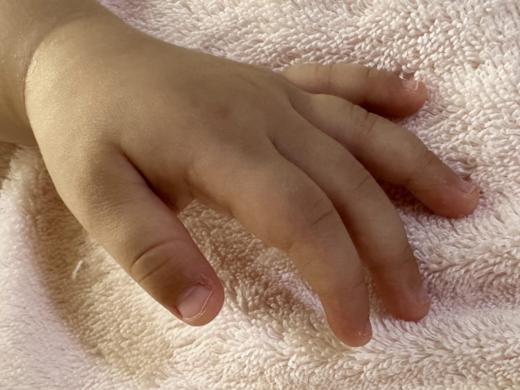 かむぴたプラス