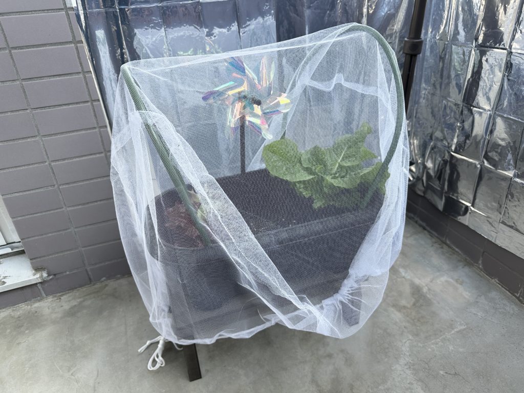 葉物野菜の鳥虫対策